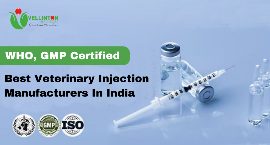 Top Veterinary Injection Manufacturers In India