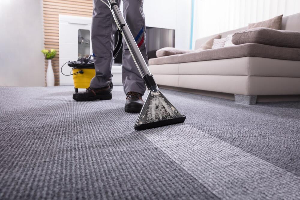 New PostWhy Professional Carpet Cleaning is Essential for Yo