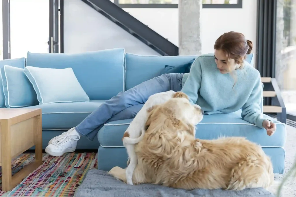 Essential Tips for Keeping a Clean Home with Pets