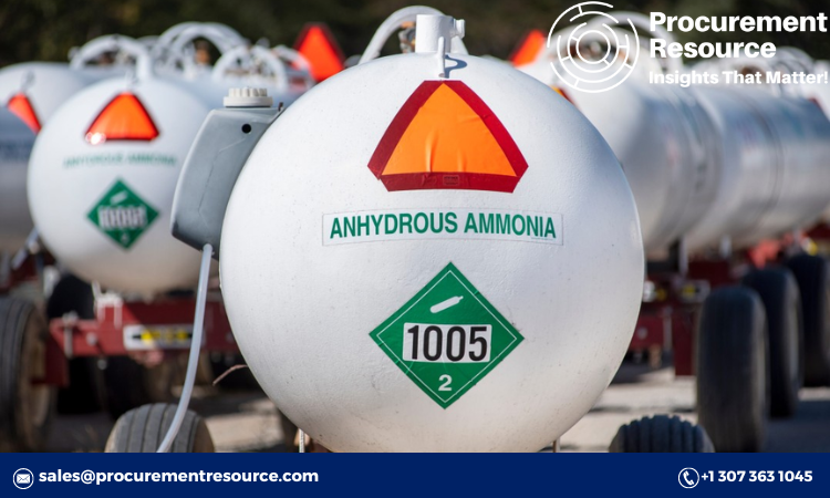 Comprehensive Report on Anhydrous Ammonia Production Process