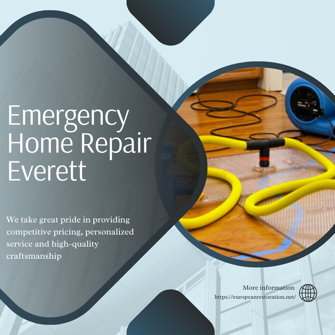 Essential Emergency Home Repair Services in Everett for 2024