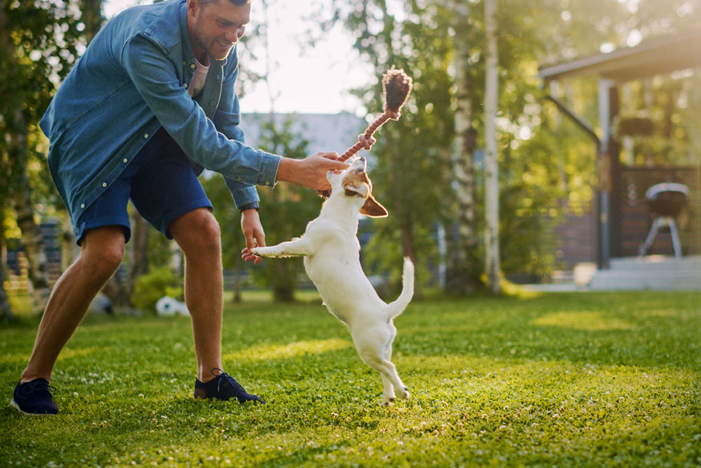 Enhancing Your Dog’s Fitness and Exercise Routine