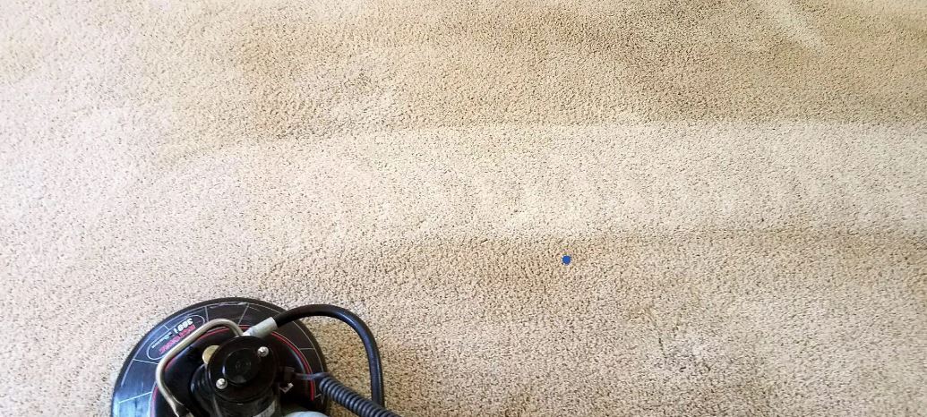 5 Signs Your Carpet Needs Professional Cleaning