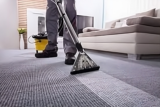 Fresh Floors, Happy Homes: Best Carpet Cleaning Options