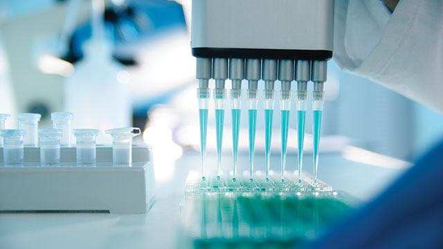 Global Cell-Based Assays Market: Future Growth and Key Drivers 2024-2032