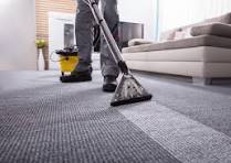 The Aesthetic and Health Rewards of Professional Carpet Clea