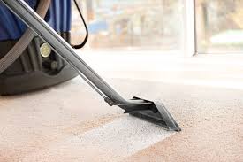 The Necessity of Professional Carpet Cleaning for Hi