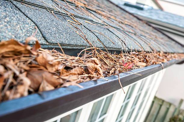 Maintaining Home Integrity: The Importance of Gutter Cleaning