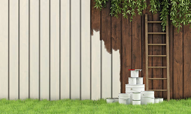 What to Look for in an Exterior Painting Service?