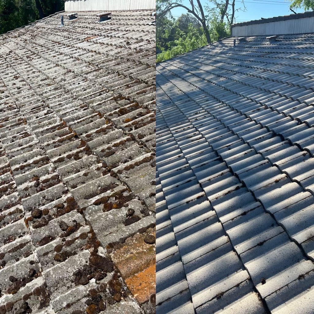 Roofing Renewed: Transform Your Home with Professional Clean