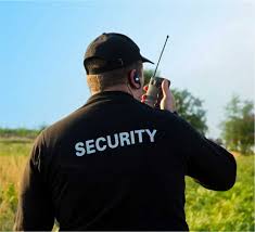 Why Businesses Need Professional Security Guard Services