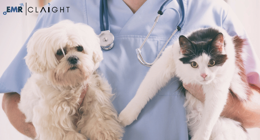 Companion Animal Healthcare Market Size, Share, Growth Analysis & Trend Report 2032