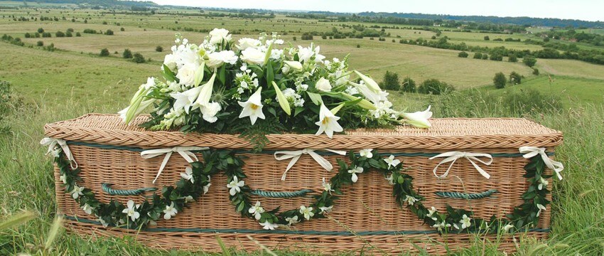 Eco-Friendly Funeral Services Market Revenue, Trends, Growth