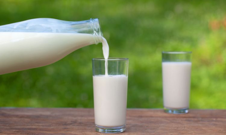 Fresh Milk Market Size, Share, Trend & Growth | 2032