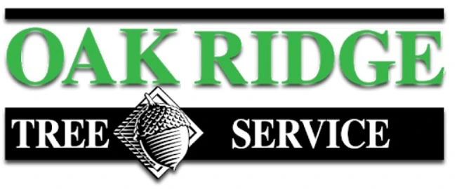 Earl’s Oak Ridge Tree Service