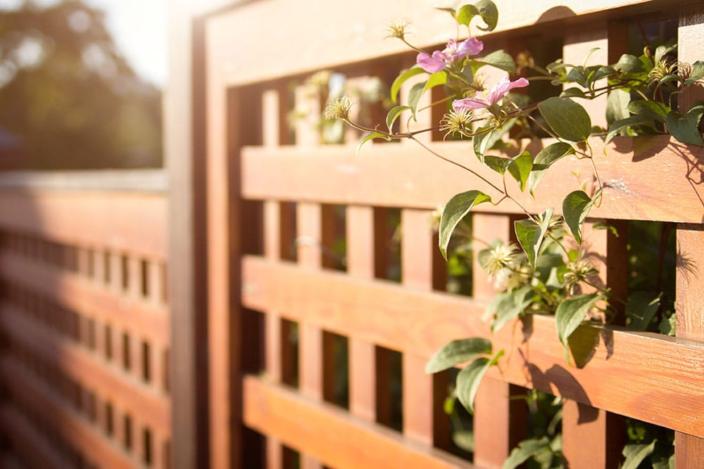 Fencing Ringwood: Enhance Your Property with Quality