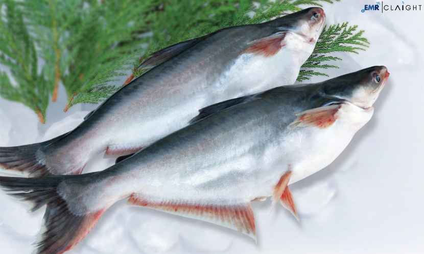 Global Fish Collagen Peptides Market | Share | Size | Forecast | Growth | 2024 -2032