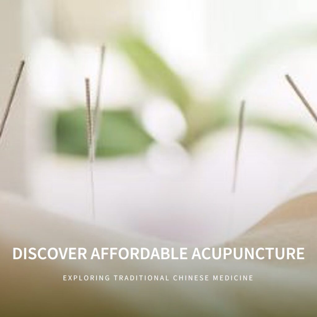 Affordable Acupuncture Options in Traditional Chinese Medicine (TCM) 2024