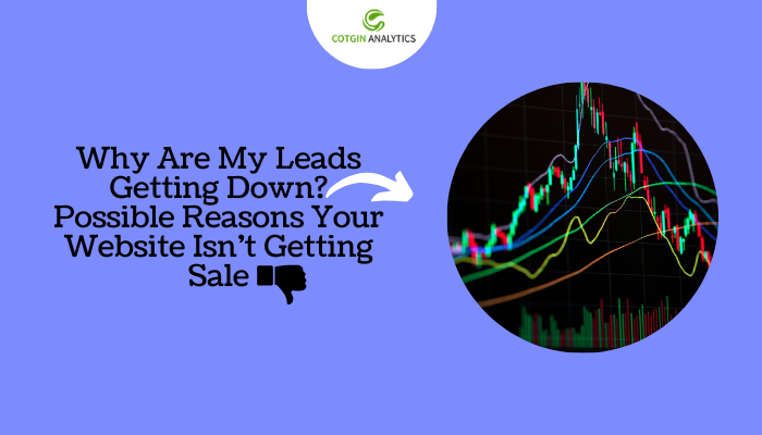 Why Are My Leads Getting Down? Possible Reasons Your Website