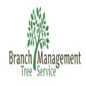 Branch Management Tree Removal