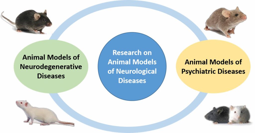 Rare Disease Research Focus