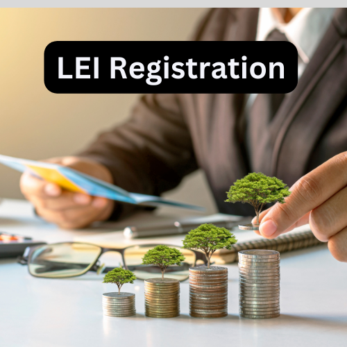 What is the LEI Code Search Systems in India