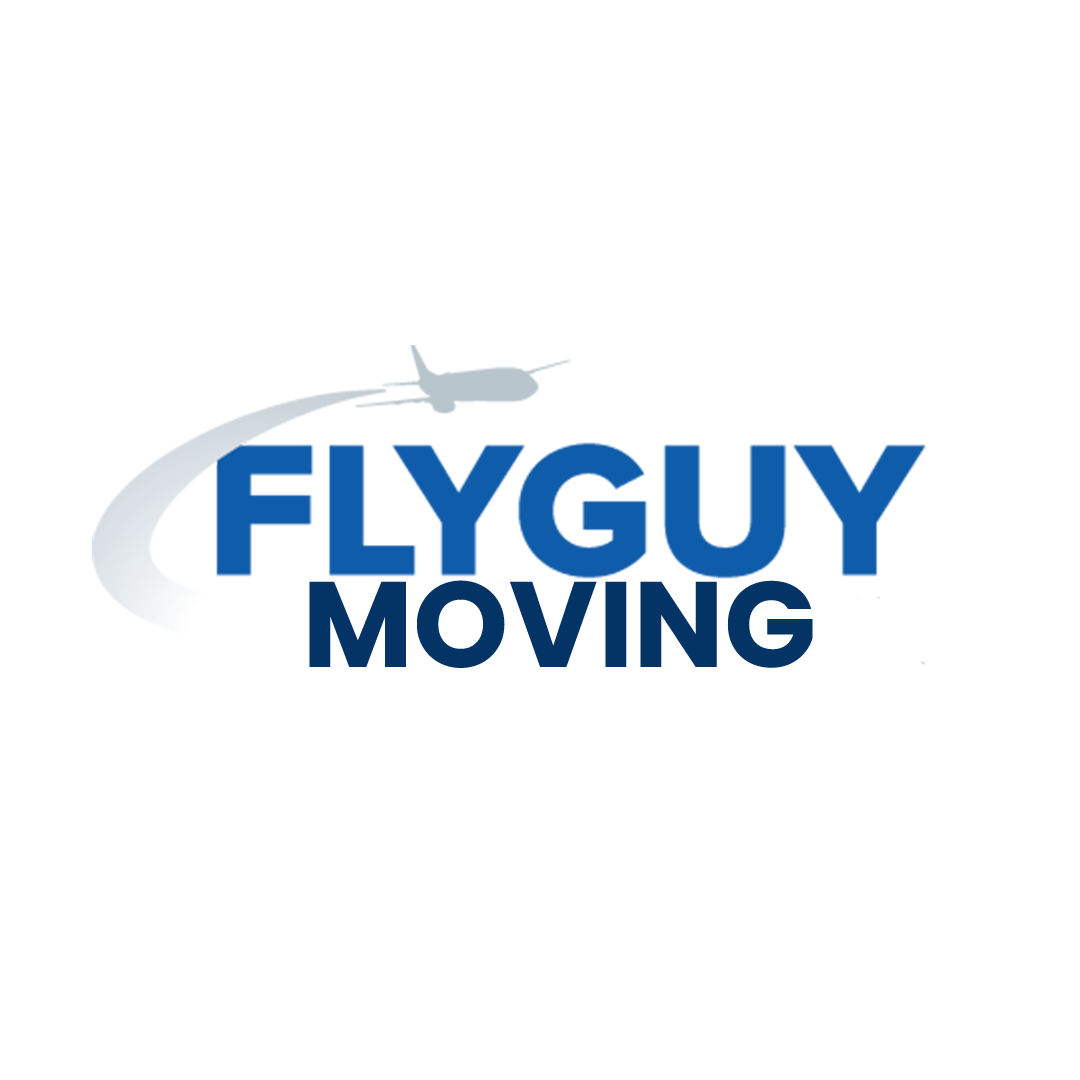 Fly Guy Moving Minooka