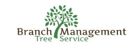 Branch Management Tree Trimming