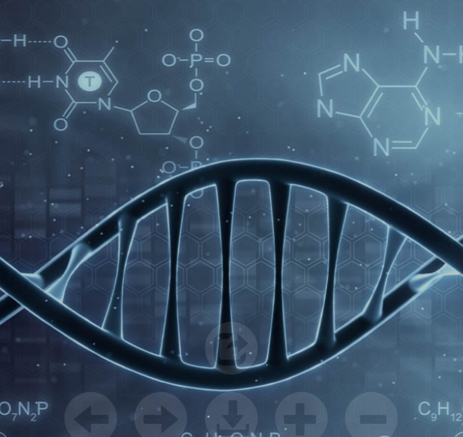 Exploring Cyanine Dyes and Click Chemistry Reagents: A Syner