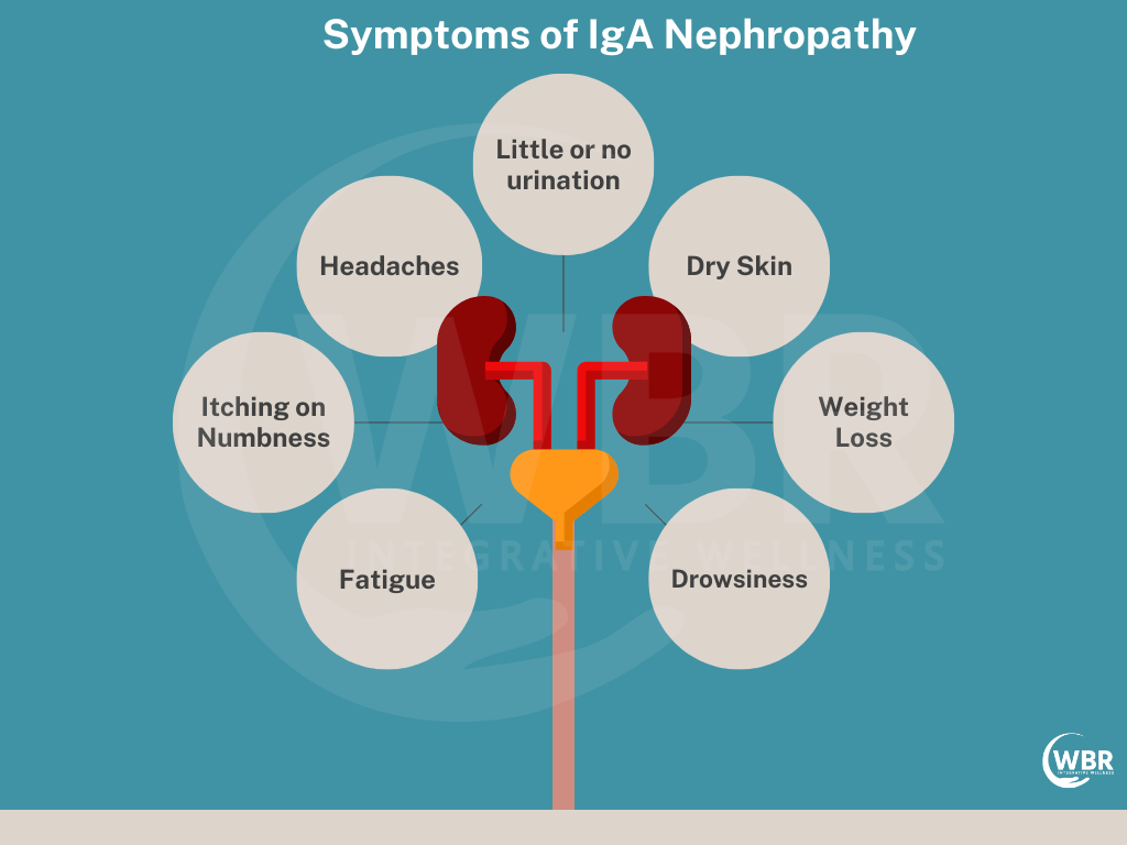 Advancements in IgAN Treatment and Membranous Nephropathy Treatment: Hope for Kidney Patients