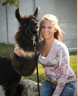 Llama Care & Training